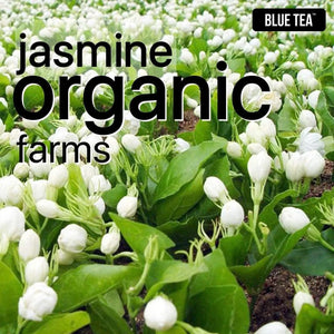 Blue Tea Jasmin Herbal Tea 30g