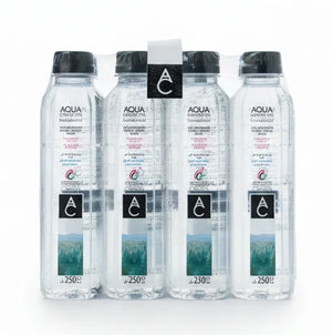 Aqua Carpatica Still Pet bottle Natural Mineral Water