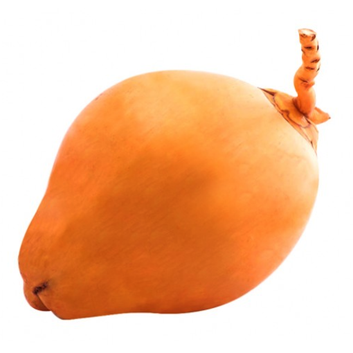 King Coconut