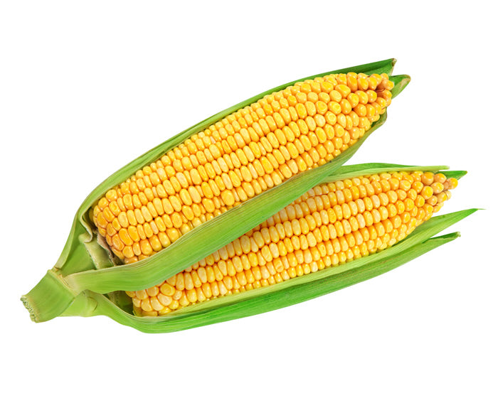 Sweet Corn