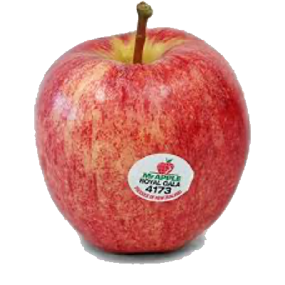 Apple Royal Gala Zealand
