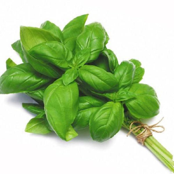 Basil Leaves 100g