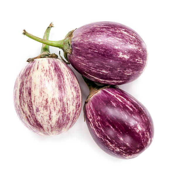 Baby Eggplant Purple Rain