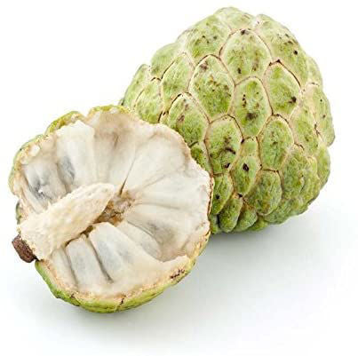Custard Apple Egypt