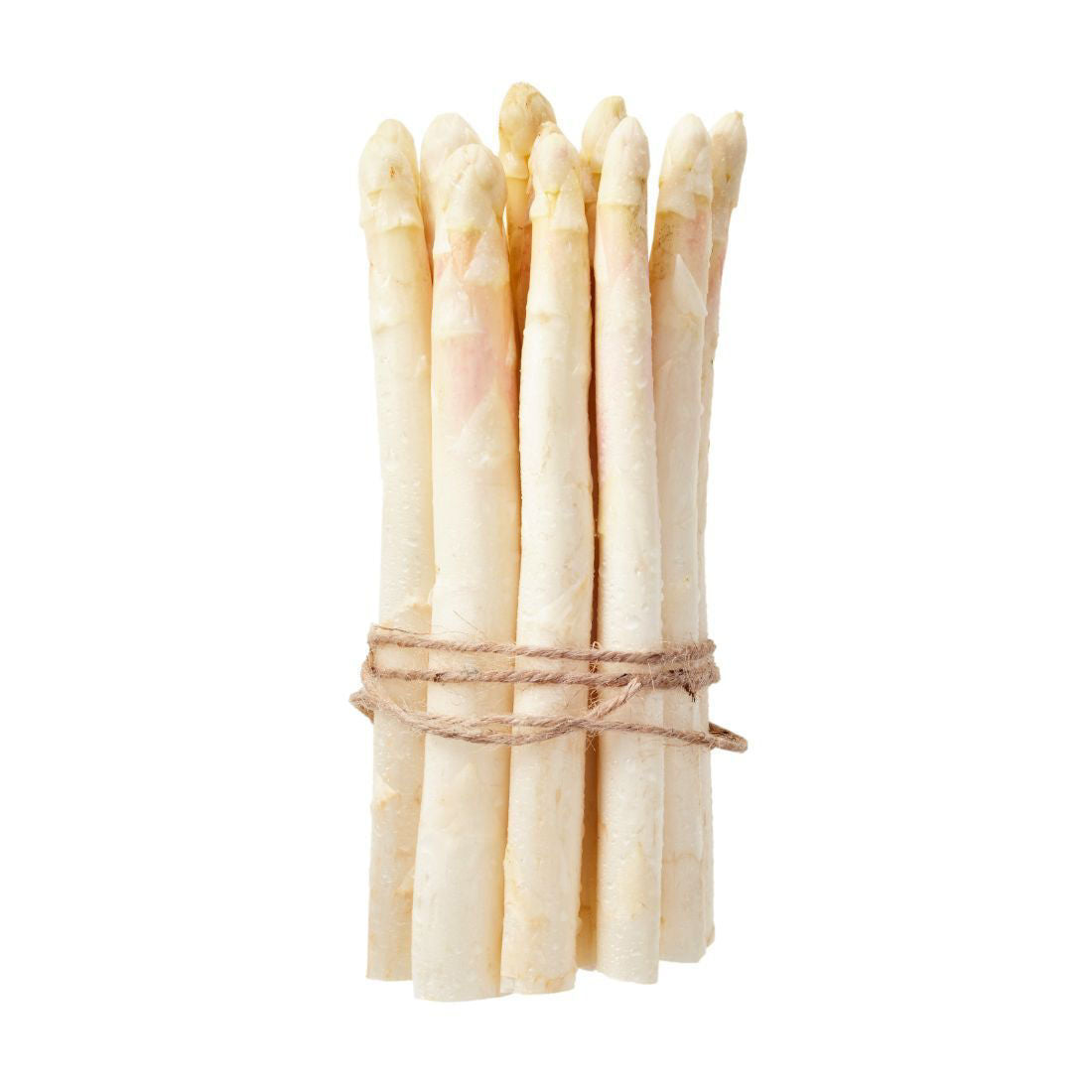 White Asparagus 500g