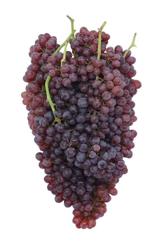 Baby Grapes Red Seedless