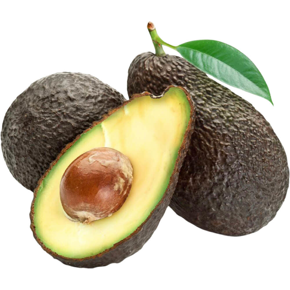 Avocado Hass Colombia