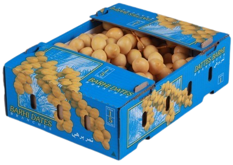 Barhi Fresh Dates Box