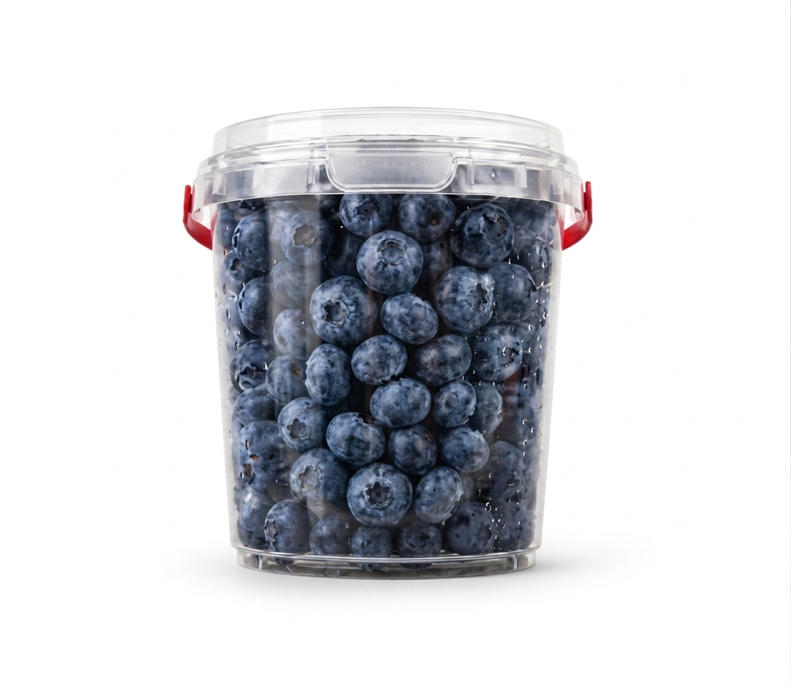 Blueberries Bucket 500g