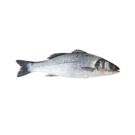 Seabass Mediterranean Whole  Piece