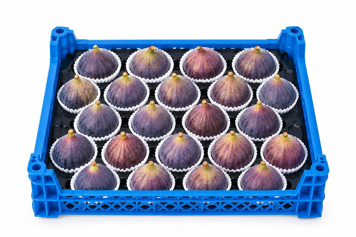 Figs Box Turkey