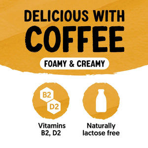 Alpro Barista Oat Caramel 750ml, Case of 8 (8 x 750ml), 100% Plant Based And Dairy Free, Suitable For Vegans, Naturally Free From Lactose, Rich In Nutrients