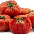 Lebanese Mountain Tomatoes 950g — بندورة جبلية | Air-Flown