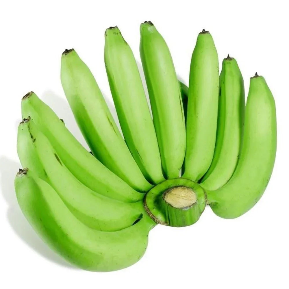 G9 Cavendish Banana (Green)
