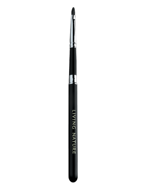 Lip Brush
