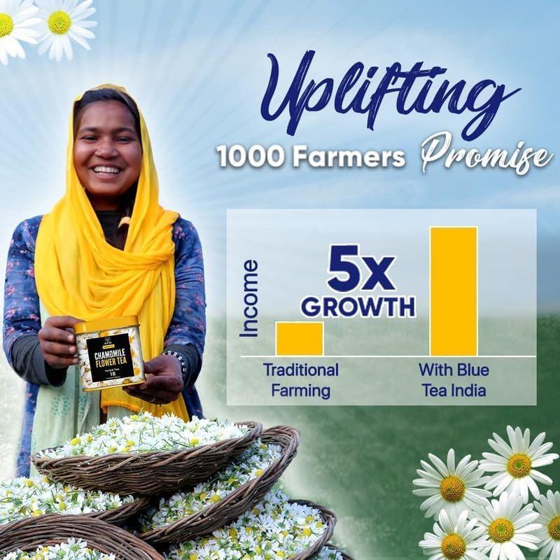 Blue Tea Chamomile Flower Tea 30g