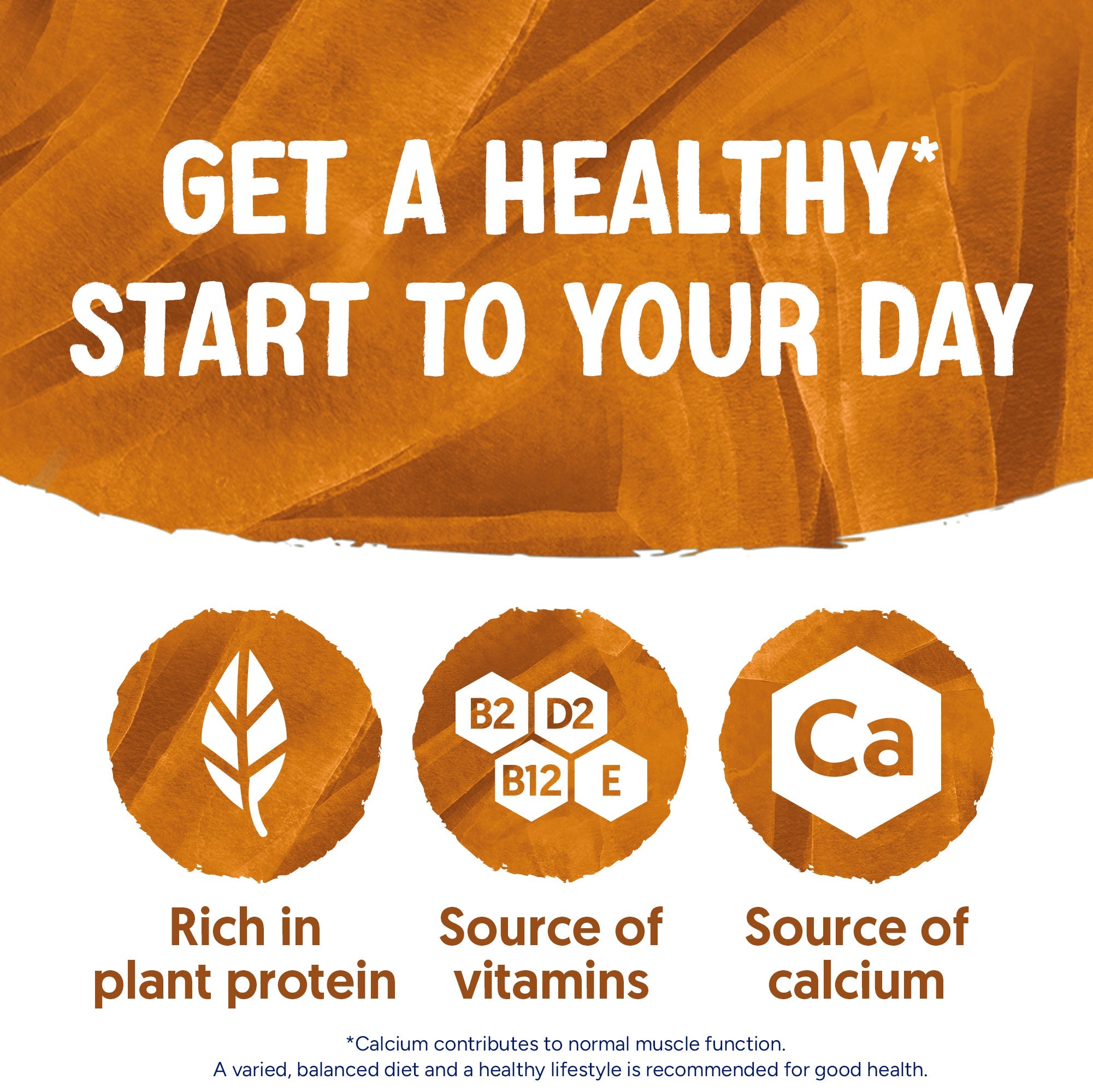 Alpro Roasted Almond Drink, Pack Of 8 x 1L, 100% Plant Based And Dairy Free, Suitable For Vegans, Naturally Free From Lactose, Rich In Nutrients
