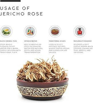 AWAFI MILL Jericho Rose | Anastatica hierochuntica - Pack of 3