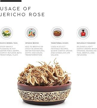 AWAFI MILL Jericho Rose | Anastatica hierochuntica - Pack of 3
