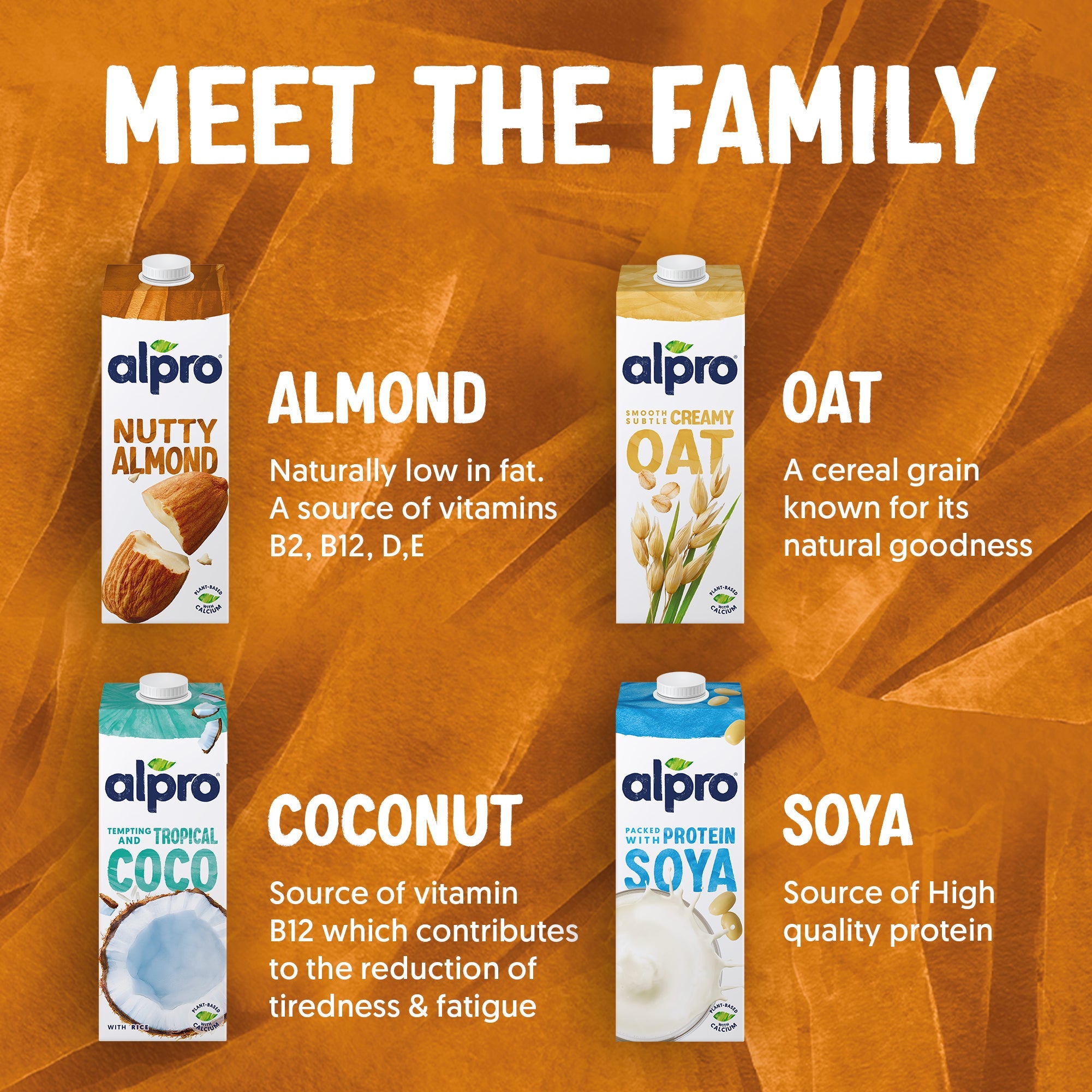 Alpro Roasted Almond Drink, Pack Of 8 x 1L, 100% Plant Based And Dairy Free, Suitable For Vegans, Naturally Free From Lactose, Rich In Nutrients