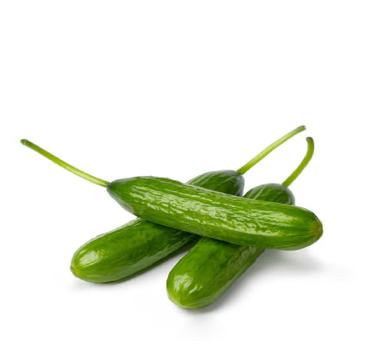Lebanese Baby Cucumbers 400g — خيار بيبي | Air-Flown