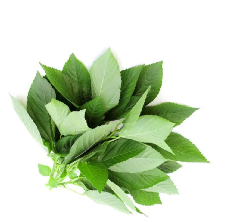 Lebanese Molokhia Leaves 1kg — ملوخية | Air-Flown
