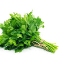 Lebanese Parsley Leaves 170g — بقدونس | Air-Flown