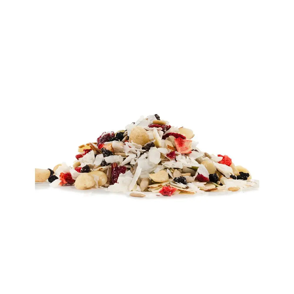 Bob's Red Mill Paleo Style Muesli, Grain Free, Cold Cereal, Gluten Free 397gm