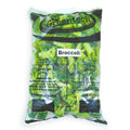 Greentech Broccoli Greentech