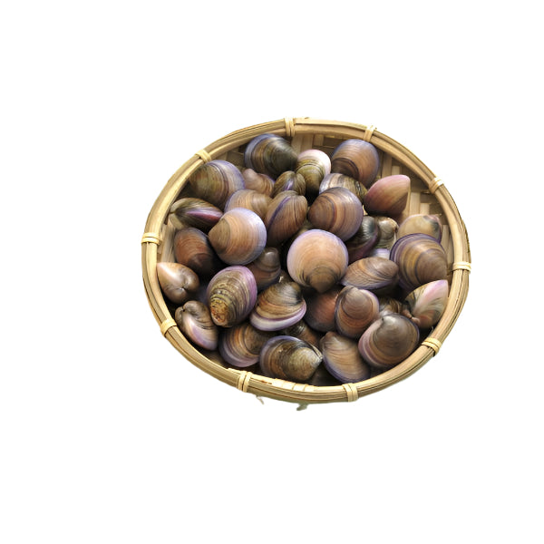 Fresh Clams (Seafish shell) 500g