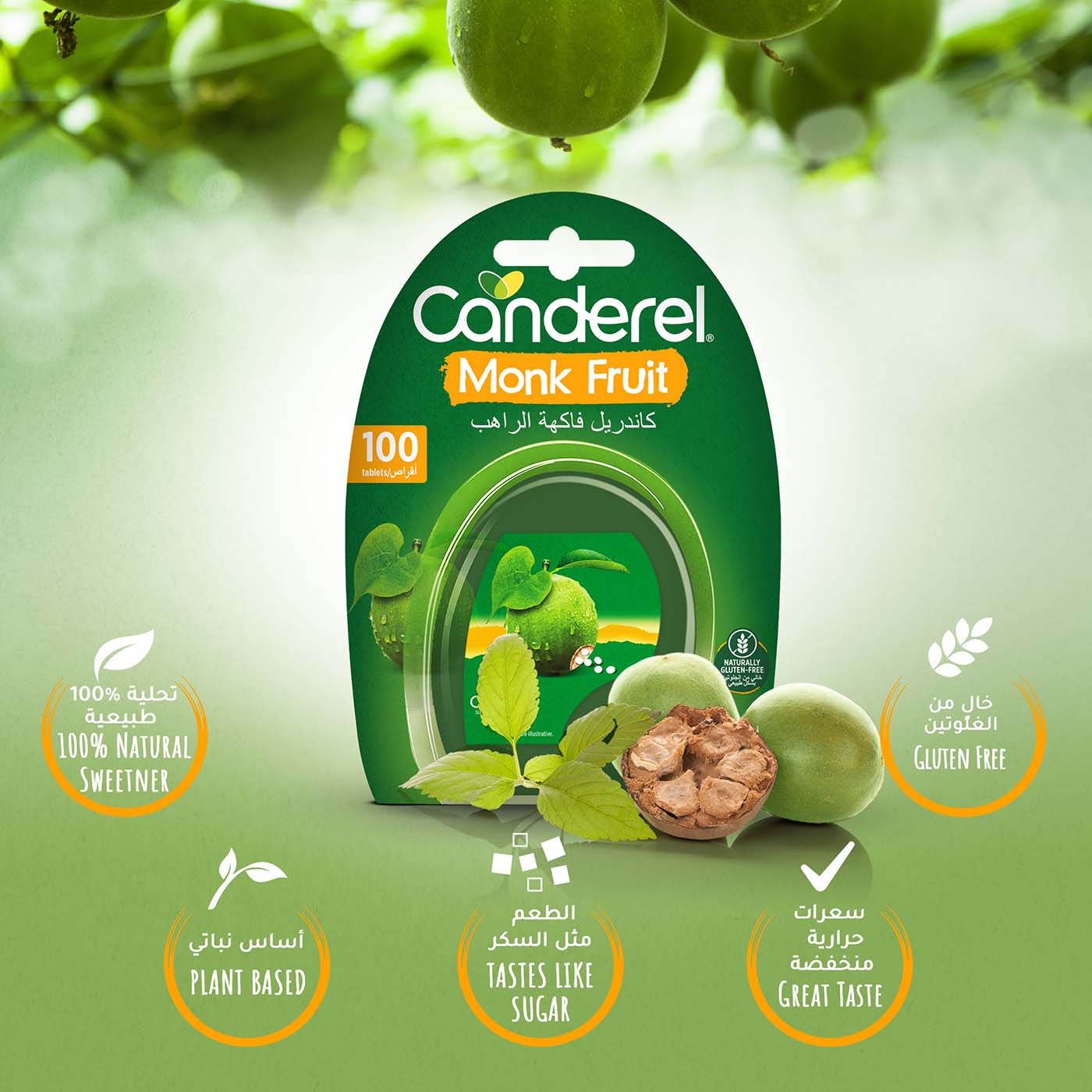 Canderel Monk Fruit Tabs 100pcs