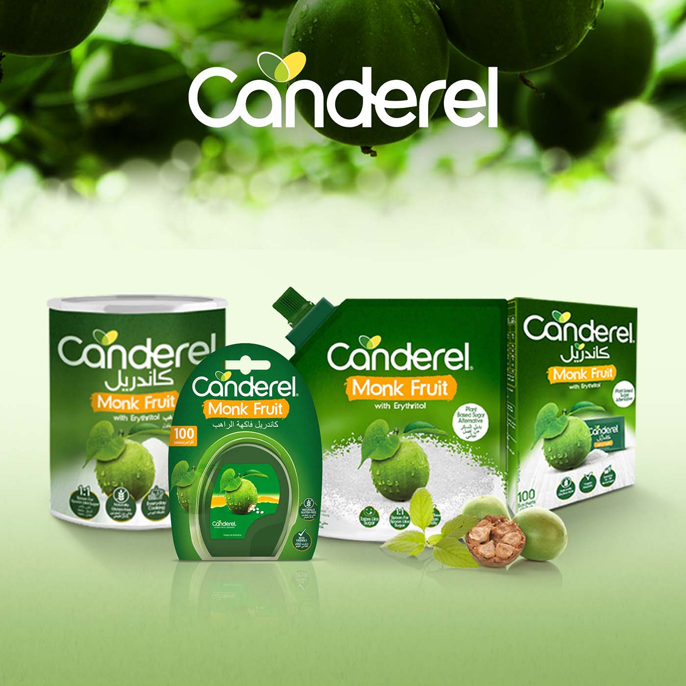 Canderel Monk Fruit Tabs 100pcs
