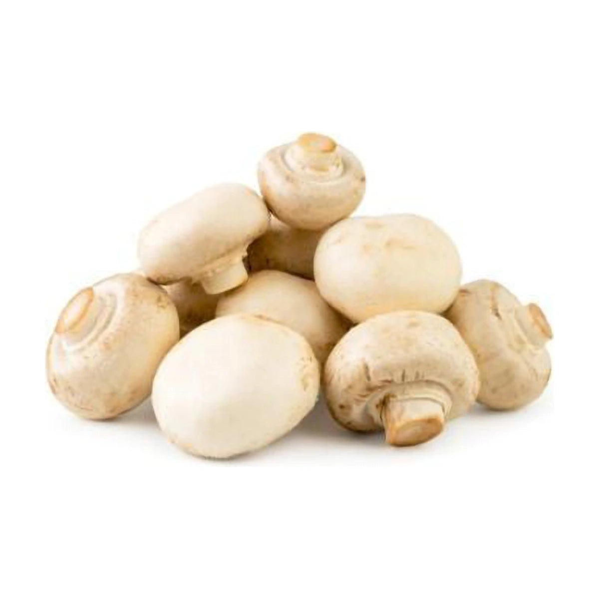 White Mushrooms 250g | Welaza