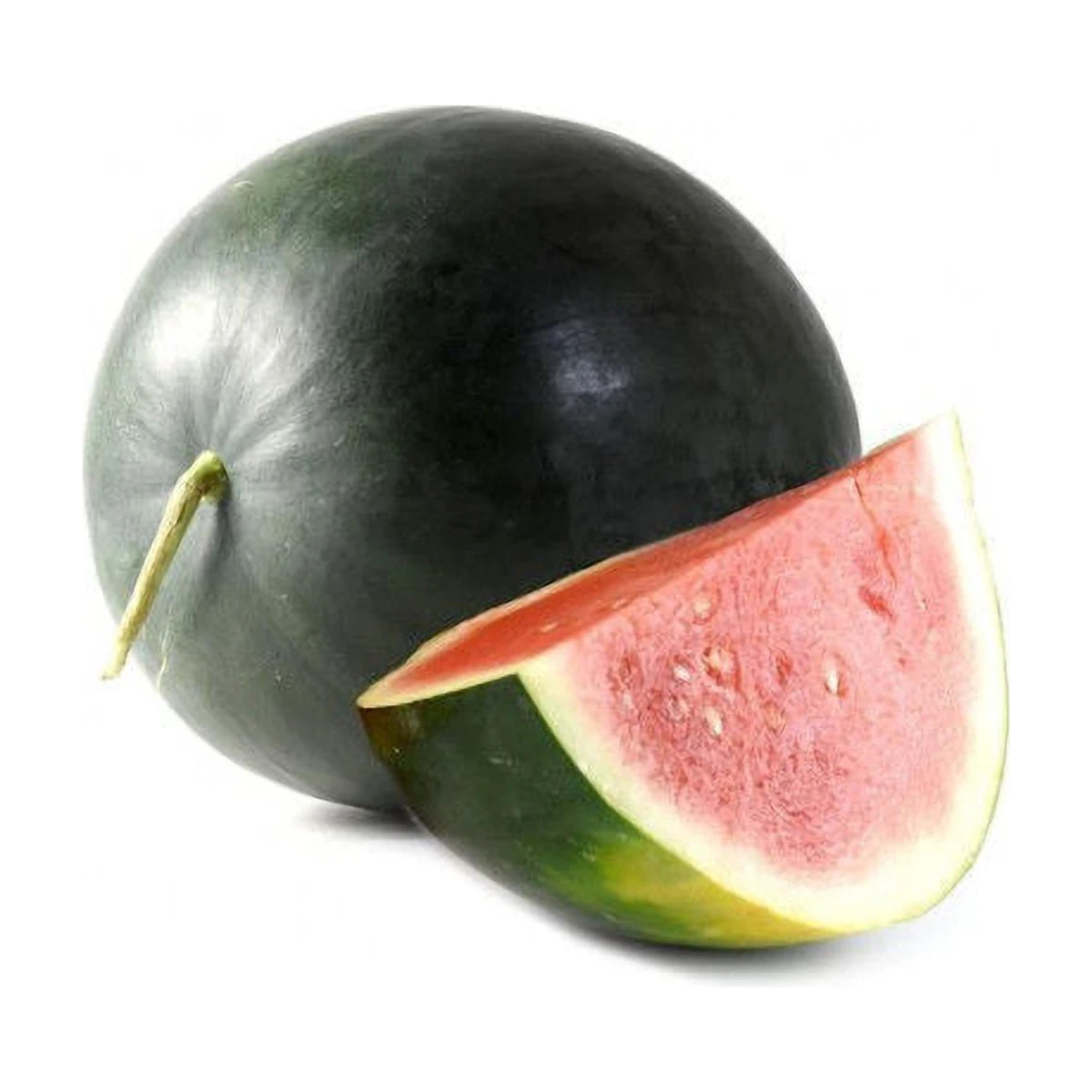 Watermelon Seedless | Welaza