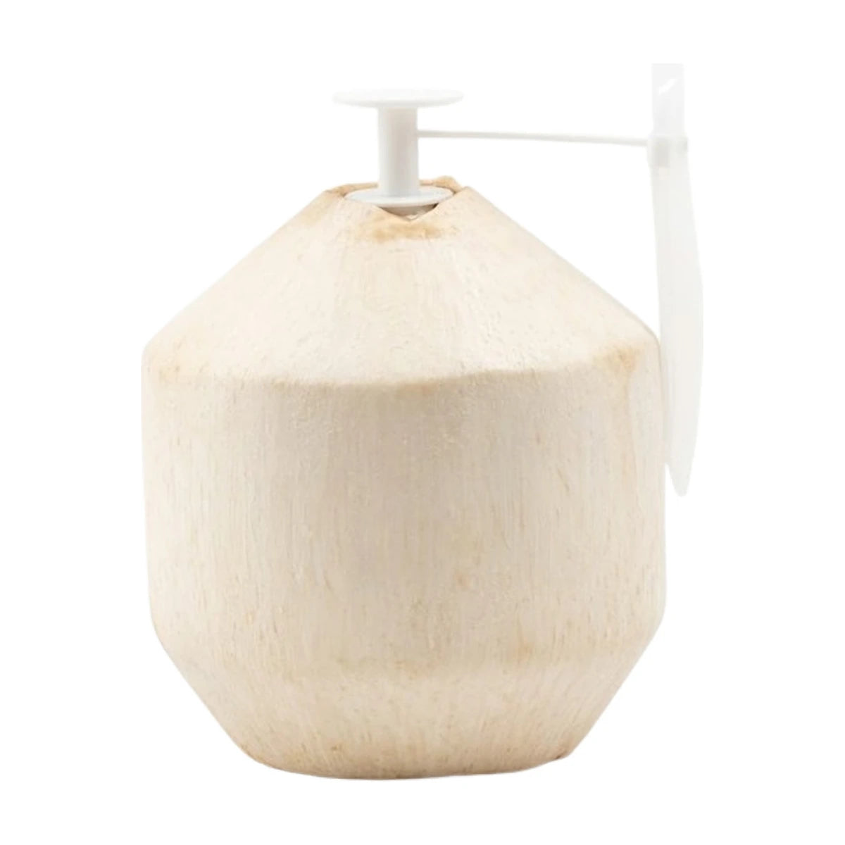 Young Coconut - Easy To Open | Welaza