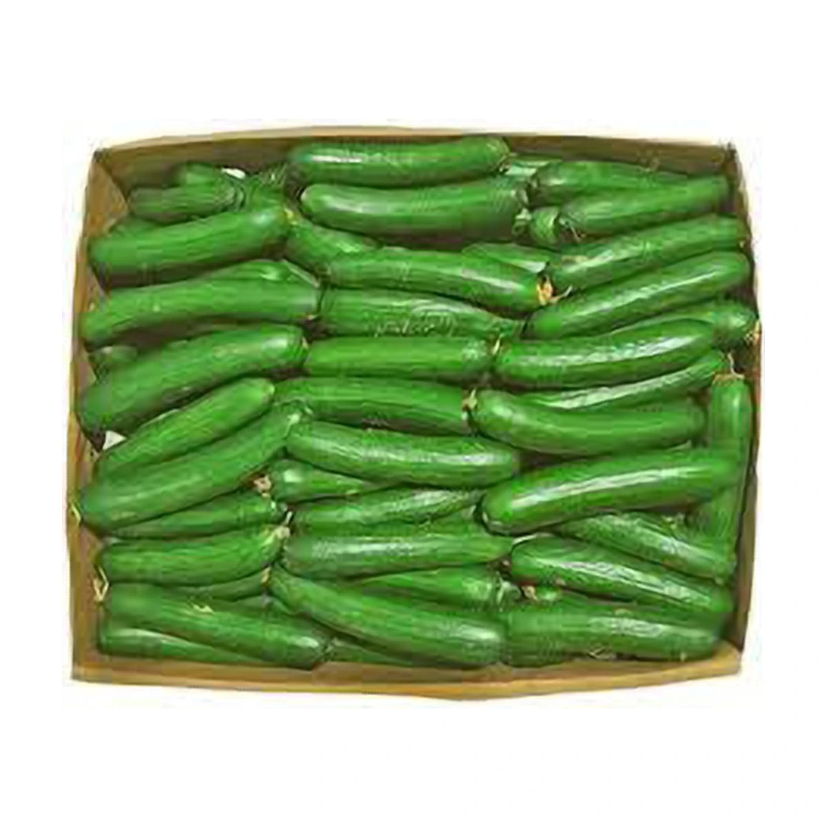 Cucumber Box 10kg | Welaza