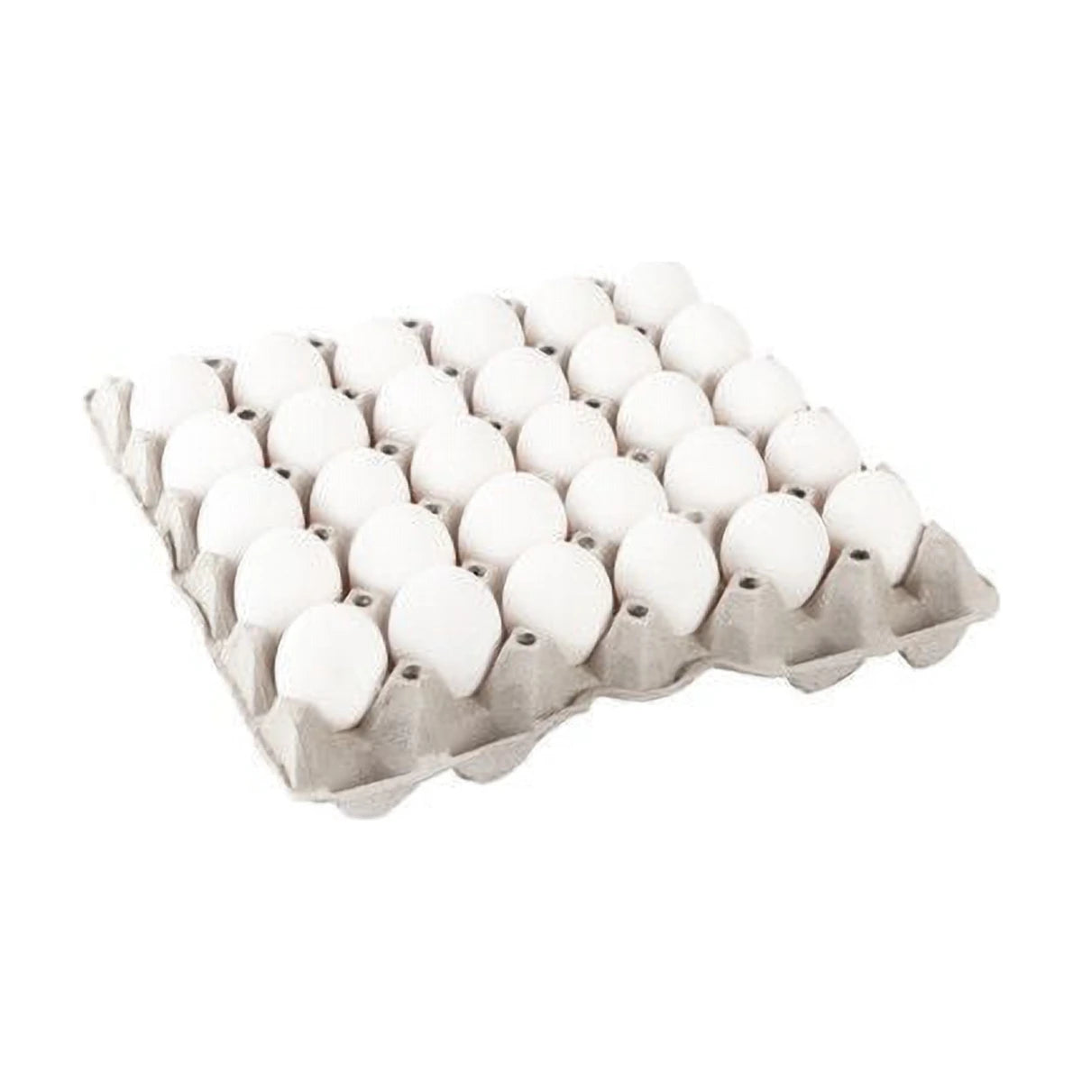 Indian White Eggs | Welaza