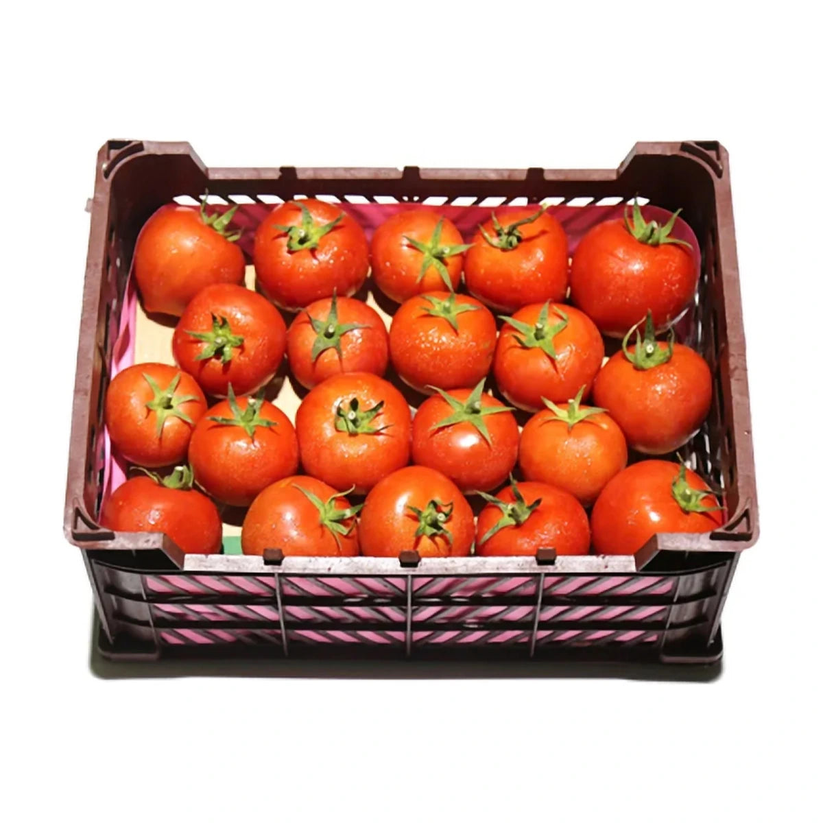 Tomato Premium Box | Welaza