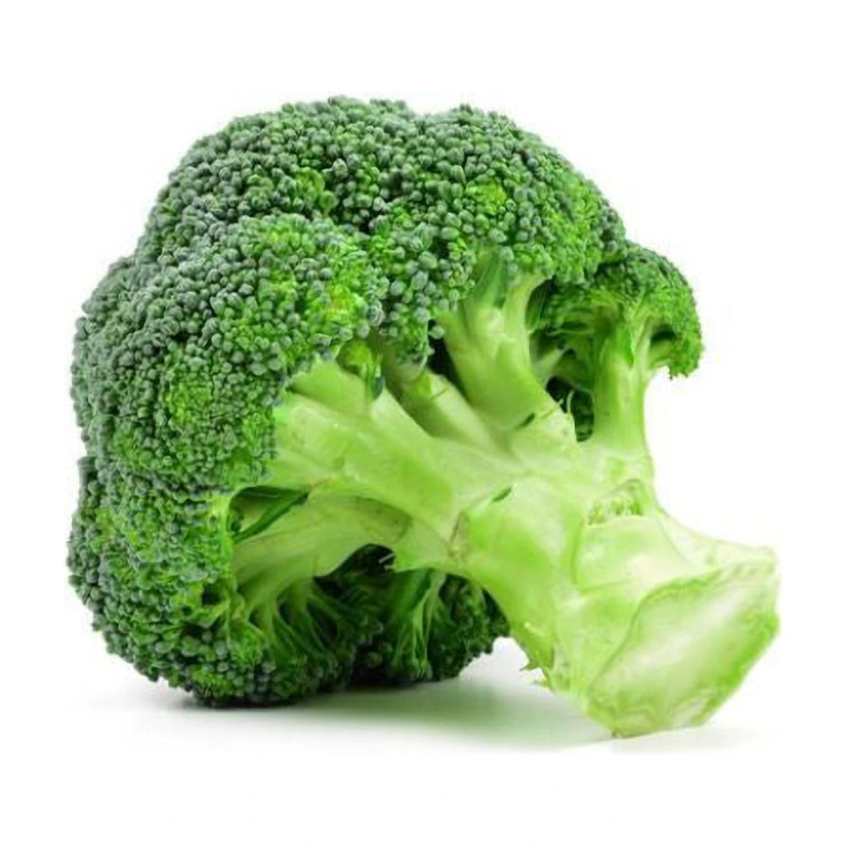 Broccoli | Welaza