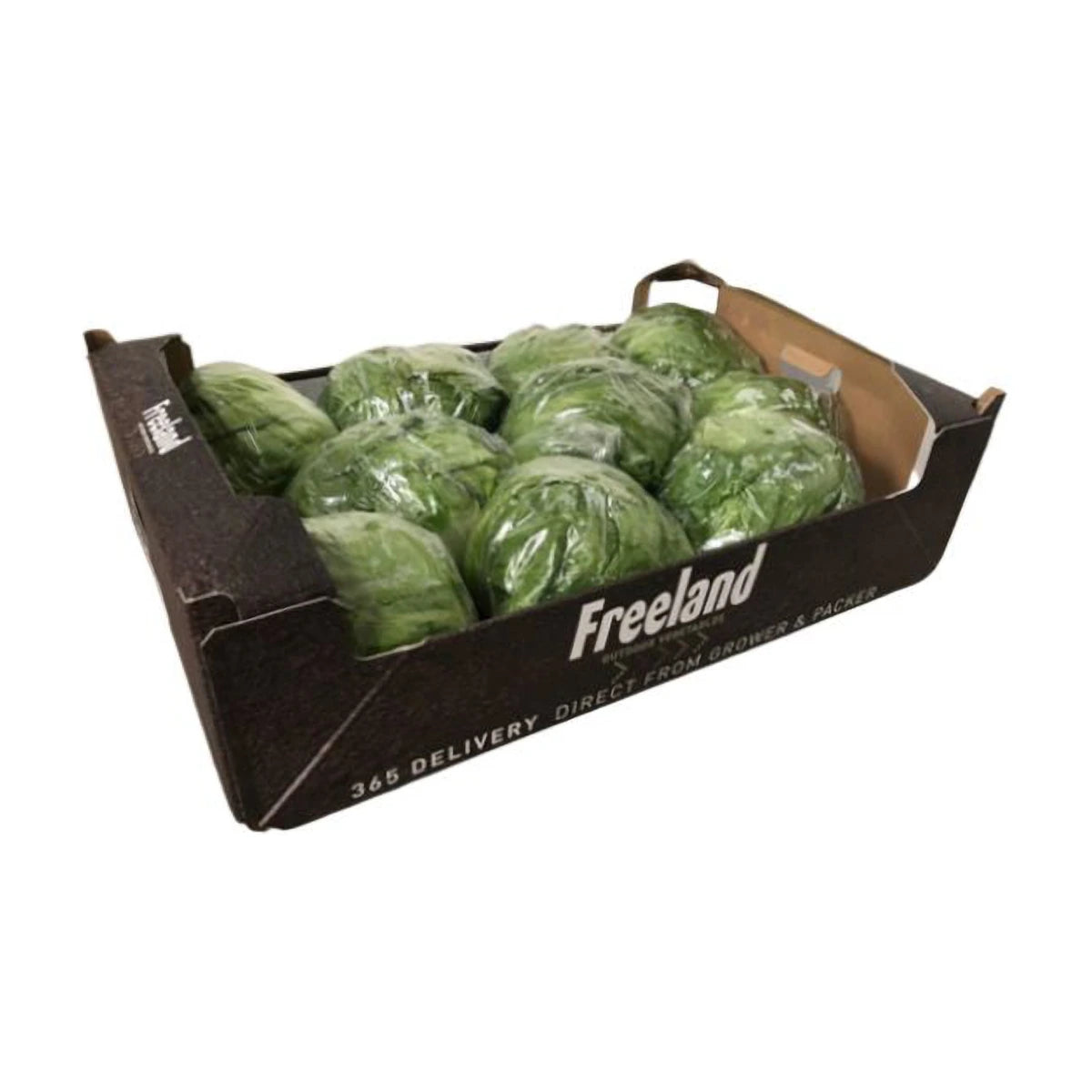 Iceberg Box | Welaza