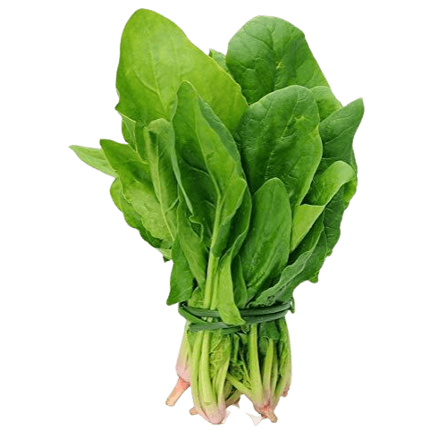 Lebanese Spinach (Bunch) 500g — سبانخ | Air-Flown