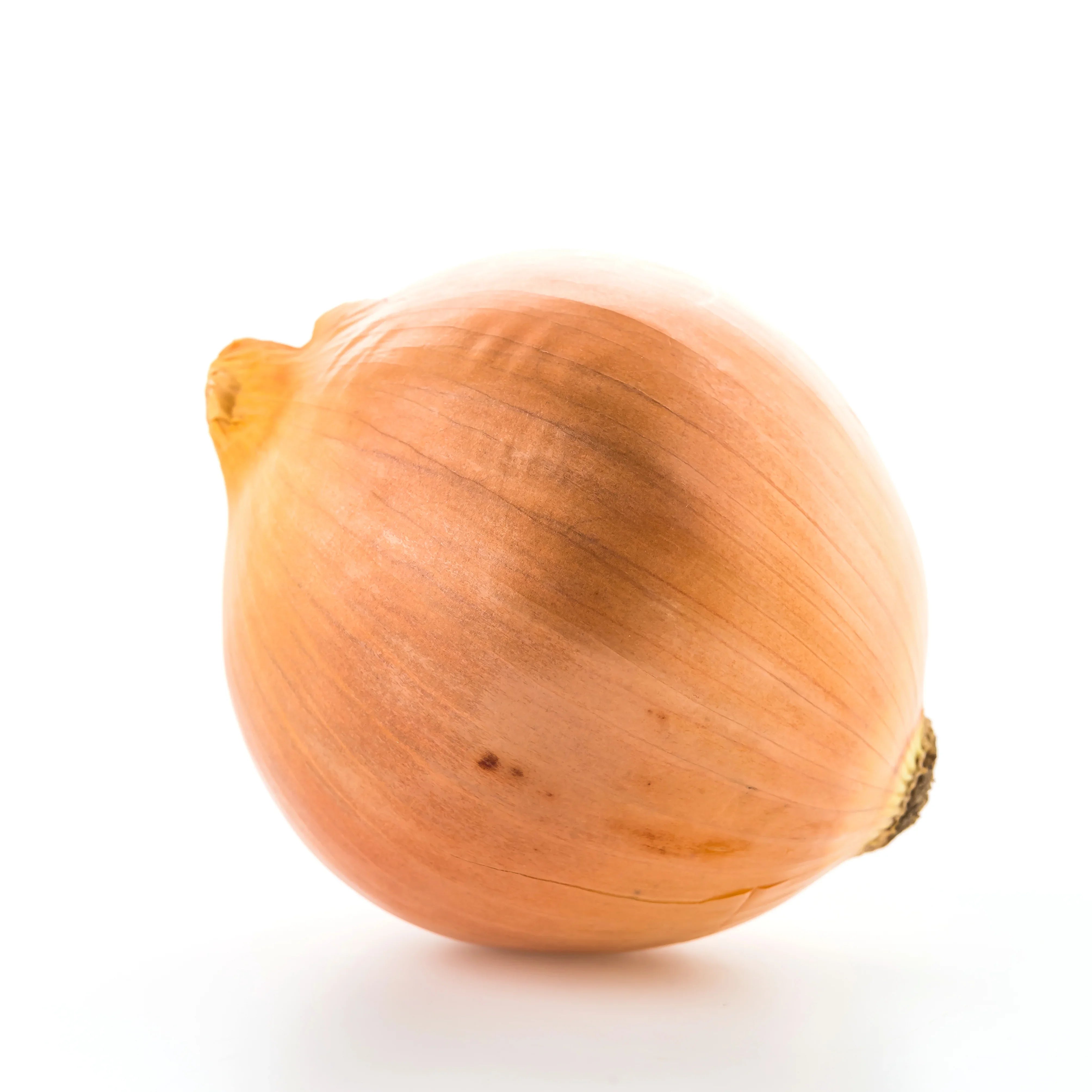 Onion New Crop
