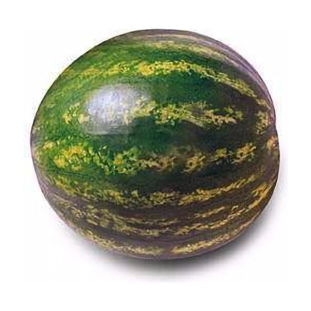Watermelon 6-7kg | Welaza