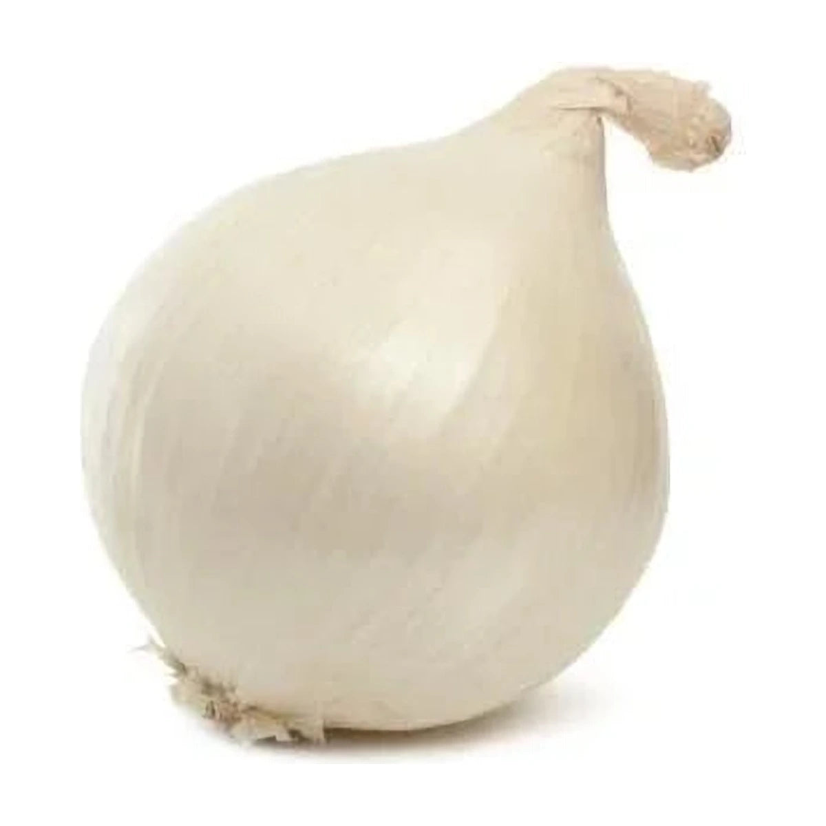 White Onion 500GRM | Welaza