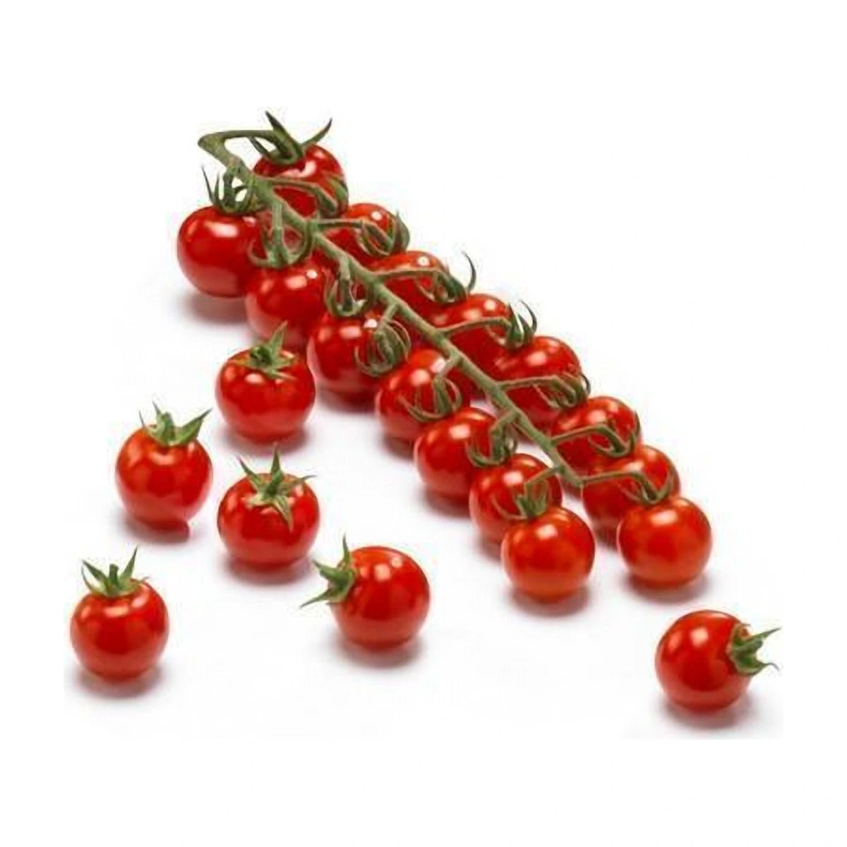 Cherry Tomatoes in vine 500g | Welaza