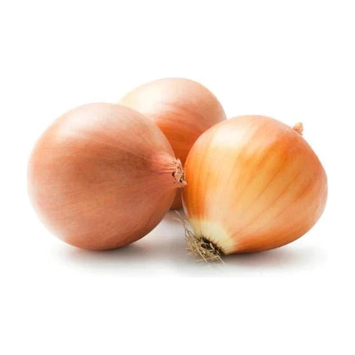 Brown Onion Packet 500g | Welaza