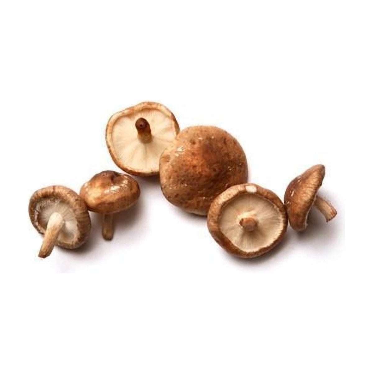 Shitake Mushroom 150g | Welaza