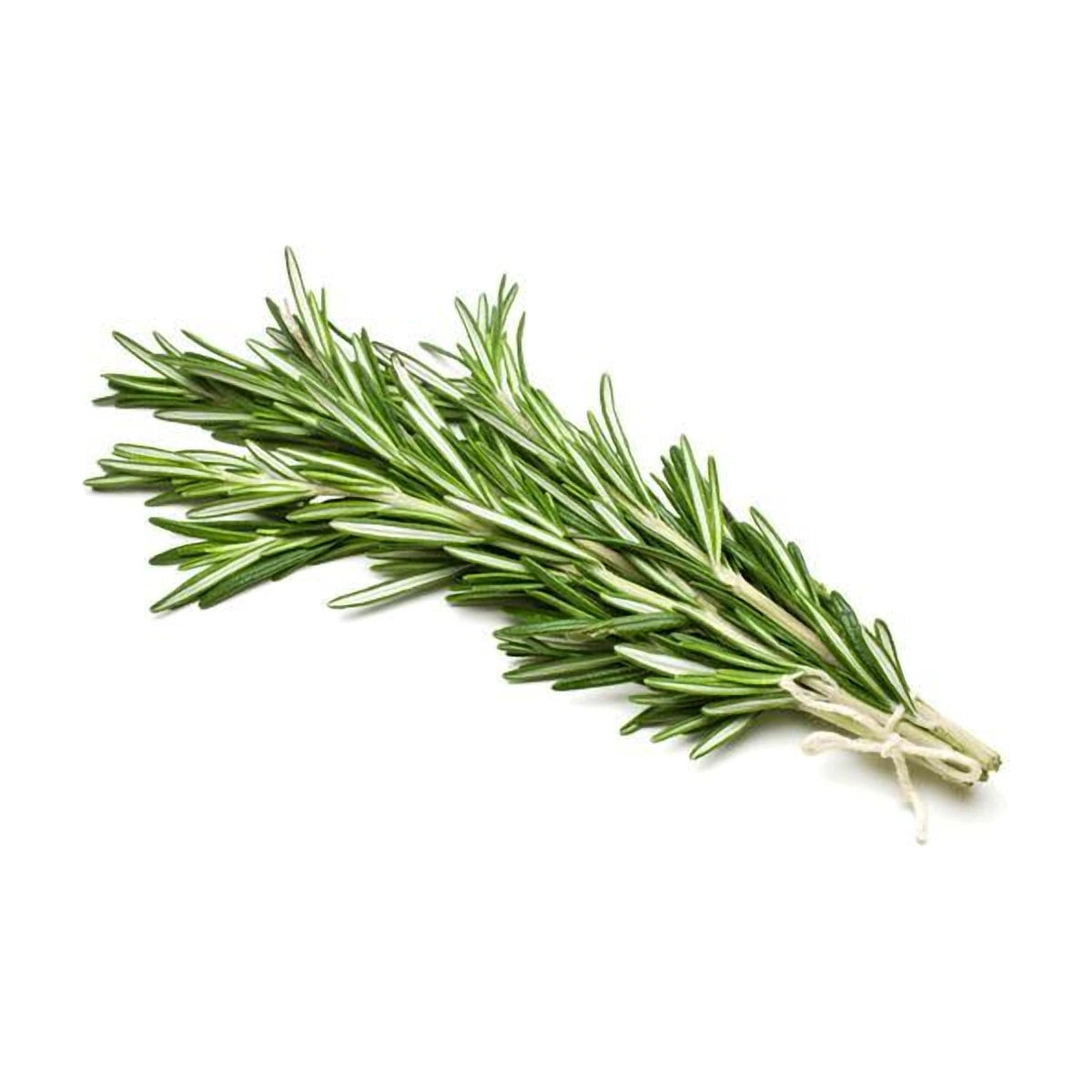 Rosemary 45g | Welaza
