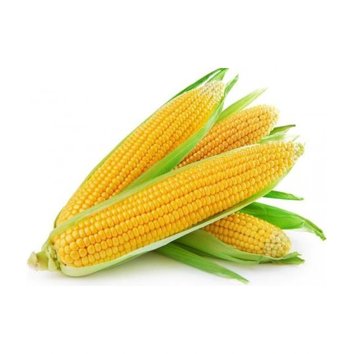 Organic Sweet Corn 500g | Welaza