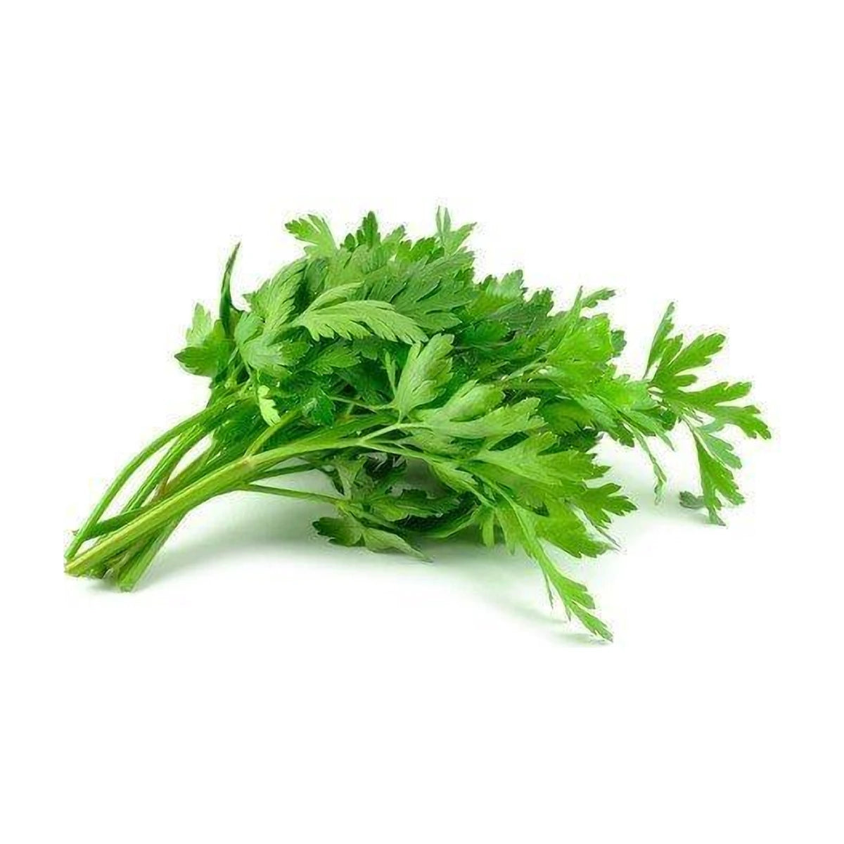 Parsley Leaves 100g | Welaza